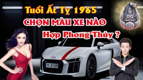 Chọn Màu Xe ô Tô Hợp Tuổi Ất Tỵ  Mang Lại Tài Lộc Tránh Tai Nạn Cho Lái Xe Theo Phong Thủy