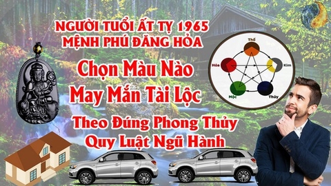 Tuổi Ất Tỵ 1965 Hợp Màu Gì ? Chọn Màu Xe , Sơn Nhà , Vòng Tay Màu Nào Tốt Nhất