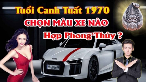 Chọn Màu Xe ô Tô Hợp Tuổi Canh Tuất Mang Lại Tài Lộc Tránh Tai Nạn Cho Lái Xe Theo Phong Thủy