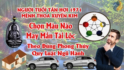 Tuổi Tân Hợi 1971  Hợp Màu Gì ? Chọn Màu Xe , Sơn Nhà , Vòng Tay Màu Nào Tốt Nhất