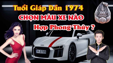 Chọn màu xem hợp tuổi giáp dần mang lại may mắn tránh tai nạn theo phong thủy