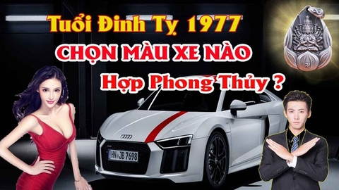 Chọn Màu Xe ô Tô Hợp Tuổi Đinh Tỵ  Mang Lại Tài Lộc Tránh Tai Nạn Cho Lái Xe Theo Phong Thủy