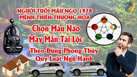 Tuổi Mậu Ngọ 1978  Hợp Màu Gì ? Chọn Màu Xe , Sơn Nhà , Vòng Tay Màu Nào Tốt Nhất