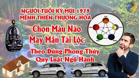 Tuổi Kỷ Mùi 1979 Hợp Màu Gì ? Chọn Màu Xe , Sơn Nhà , Vòng Tay Màu Nào Tốt Nhất