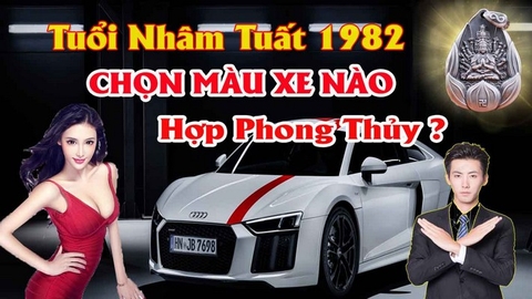 Chọn Màu Xe ô Tô Hợp Tuổi Nhâm Tuất Mang Lại Tài Lộc Tránh Tai Nạn Cho Lái Xe Theo Phong Thủy