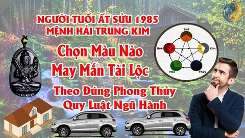 Tuổi Ất Sửu 1985 Hợp Màu Gì ? Chọn Màu Xe , Sơn Nhà , Vòng Tay Màu Nào Tốt Nhất