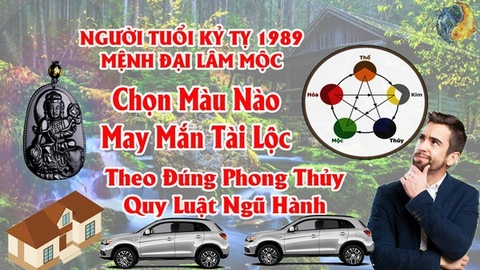 Tuổi Kỷ Tỵ 1989  Hợp Màu Gì ? Chọn Màu Xe , Sơn Nhà , Vòng Tay Màu Nào Tốt Nhất