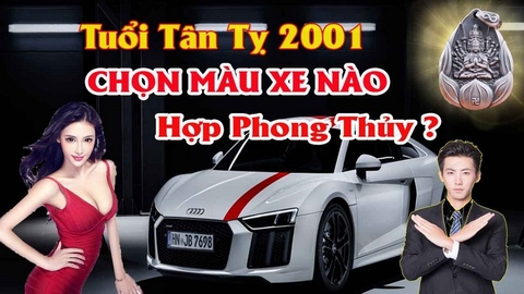 Chọn Màu Xe ô Tô Hợp Tuổi Tân Tỵ  Mang Lại Tài Lộc Tránh Tai Nạn Cho Lái Xe Theo Phong Thủy