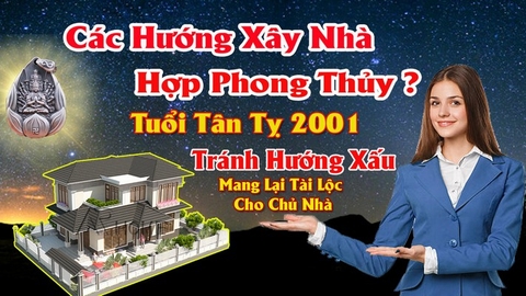 Chọn hướng nhà hợp nam tuổi tân tỵ mang lại tài lộc tránh tại họa cho chủ nhà theo phong thủy nhà ỏ