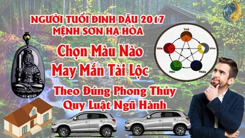 Tuổi Đinh Dậu 1957 và  2017  Hợp Màu Gì ? Chọn Màu Xe , Sơn Nhà , Vòng Tay Màu Nào Tốt Nhất