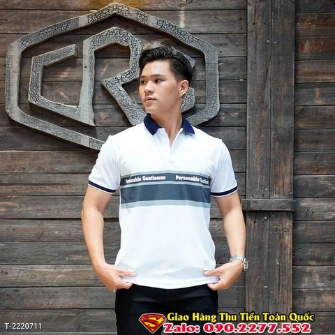 Áo Thun Cổ Bẻ Cao Cấp Polo Personable