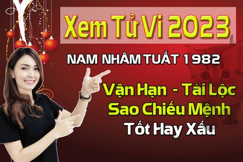 Xem Tử Vi Năm 2023 Nam Tuổi Nhâm Tuất 1982