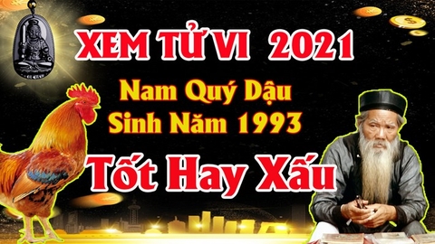 Xem tử vi nam tuổi quý dậu năm 2021 vận hạn ,tài lộc cách giải hạn sao tăng tài lộc may mắn bằng phong thủy