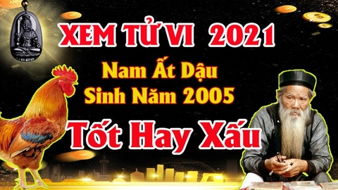 Xem tử vi nam tuổi ất dậu năm 2021 tài lộc , vận hạn cách giải hạn sao bằng phong thủy tăng tài lộc may mắn