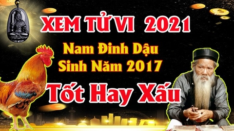 Xem tử vi nam tuổi đinh dậu năm 2021 vận hạn , tài lộc cách giải hạn sao bằng phong thủy tăng tài lộc may mắn