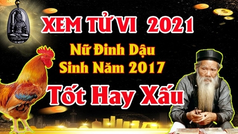 Xem tử vi nữ tuổi đinh dậu năm 2021 vận hạn ,tài lộc cách giải hạn sao tăng tài lộc may mắn