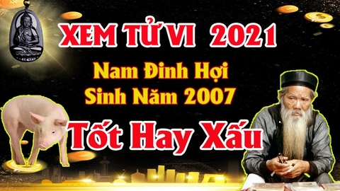 Xem Tử Vi Nam Tuổi Đinh Hợi Năm 2021 Vận Hạn , Tài Lộc Cách Giải Hạn Sao Mang Lại May Mắn Tài Lộc Dễ Làm