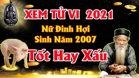 Xem tử vi nữ tuổi đinh hợi năm 2021 vận hạn, tài lộc cách giải hạn sao tăng tài lộc may mắn đơn giản