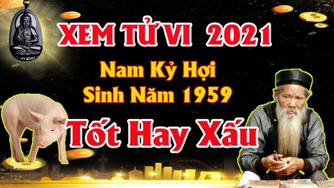 Xem tử vi nam tuổi kỷ hợi năm 2021 vận hạn , tài lộc cách giải hạn sao giúp tăng tài lộc may mắn