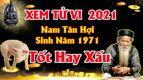 Xem tử vi nam tuổi tân hợi năm 2021 vận hạn ,tài lộc cách giải hạn gia tăng tài lộc may mắn dễ làm