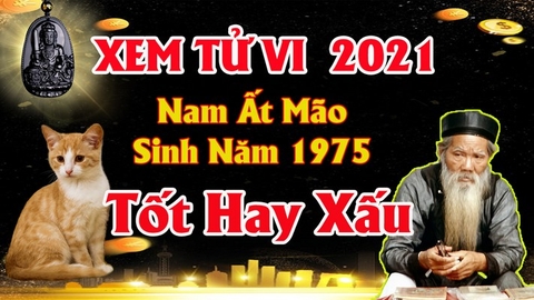 Xem tử vi nam tuổi ất mão năm 2021 vận hạn , tài lộc cách giải hạn sao mang lại may mắn tài lộc