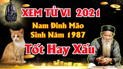 Xem tử vi nam tuổi đinh mão năm 2021 vận hạn, tài lộc cách giải hạn sao mang lại may mắn tài lộc