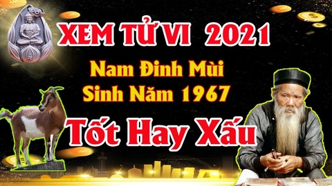 Xem tử vi nam tuổi đinh mùi năm 2021 vận hạn, tài lộc cách giải hạn sao tăng tài lộc may mắn