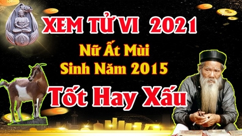 Xem tử vi nữ tuổi ất mùi năm 2021 vận hạn , tài lộc cách giải hạn sao mang lại tài lộc may mắn