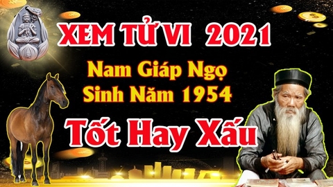 Xem tử vi nam tuổi giáp ngọ năm 2021 vận hạn , tài lộc cách giải hạn sao giảm nhẹ tai ương tăng tài lộc