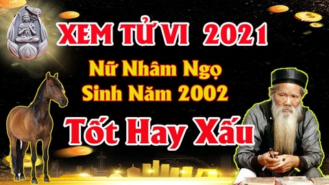 Xem tử vi nữ tuổi nhâm ngọ năm 2021 vận hạn , tài lộc cách giải hạn sao tăng tài lộc giảm nhẹ tai ương