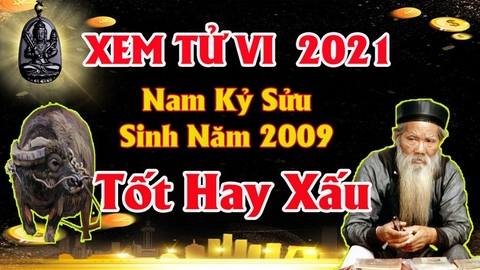 Xem tử vi nam tuổi kỷ sửu năm 2021 vận hạn , tài lộc cách giải hạn sao mang lại tài lộc may mắn