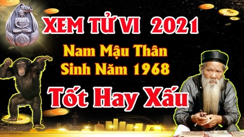 Xem tử vi nam tuổi mậu thân năm 2021 vận hạn , tài lộc cách giải hạn sao tăng tài lộc hóa giải vận xui