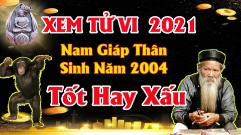 Xem tử vi nam tuổi giáp thân năm 2021 vận hạn , tài lộc cách giải hạn sao mang lại may mắn tài lộc