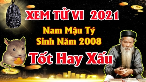 Xem tử vi nam tuổi mậu tý năm 2021 tài lộc , vận hạn cách giải hạn sao mang lại may mắn tài lộc