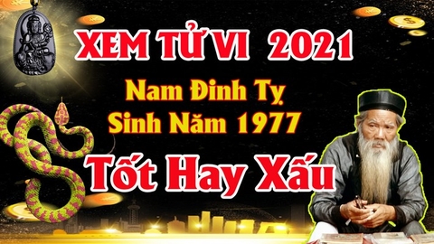 Xem tử vi nữ tuổi đinh tỵ năm 2021 vận hạn , tài lộc cách giải hạn sao mang lại may mắn tài lộc