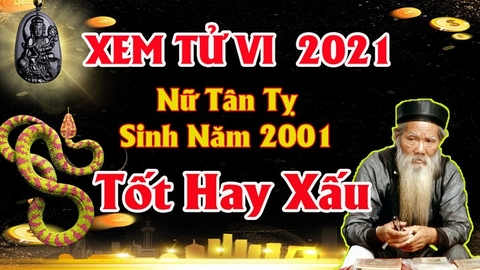 Xem tử vi nữ tuổi tân tỵ năm 2021 vận hạn , tài lộc cách giải hạn sao mang lại may mắn tài lộc