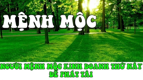 Mệnh Mộc hợp nghề gì? Khám phá 3 nhóm nghề tốt nhất cho người mệnh Mộc .