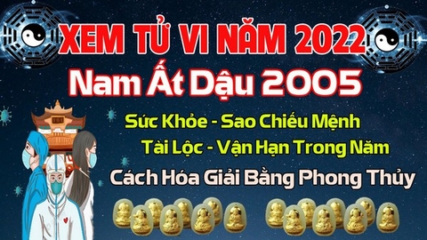 Xem Tử Vi Năm 2022 Tuổi Ất Dậu 2005 Nam Mạng Vận Hạn , Tài Lộc , Sao Chiếu Mệnh Chi Tiết Nhất