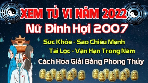 Xem Tử Vi Năm 2022 Tuổi Đinh Hợi 2007 Nữ  Mạng Vận Hạn , Tài Lộc , Sao Chiếu Mệnh Chi Tiết Nhất