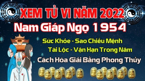 Xem Tử Vi Năm 2022 Tuổi Giáp Ngọ 1954 Nam  Mạng Vận Hạn , Tài Lộc , Sao Chiếu Mệnh Chi Tiết Nhất