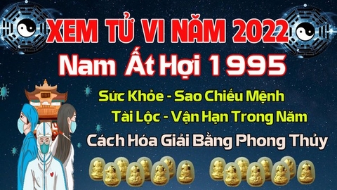 Xem Tử Vi Năm 2022 Tuổi Ất Hợi 1995 Nam  Mạng Vận Hạn , Tài Lộc , Sao Chiếu Mệnh Chi Tiết Nhất