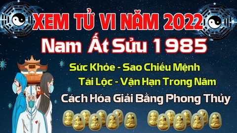 Xem Tử Vi Năm 2022 Tuổi Ất Sửu 1985 Nam Mạng Vận Hạn , Tài Lộc , Sao Chiếu Mệnh Chi Tiết Nhất