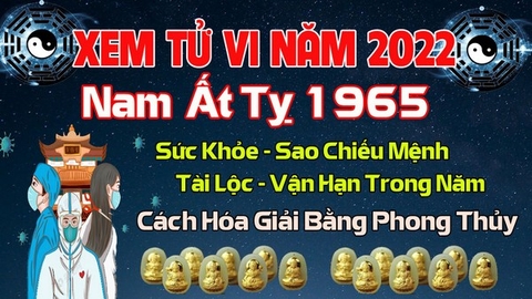 Xem Tử  Vi Năm 2022 Tuổi Ất Tỵ Nam 1965  Mạng Sao Chiếu Mệnh, Hạn Tuổi, Công Danh, Tài Lộc Chi Tiết