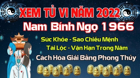 Xem Tử Vi Năm 2022 Tuổi Bính Ngọ 1966 Nam Mạng Vận Hạn , Tài Lộc , Sao Chiếu Mệnh Chi Tiết Nhất