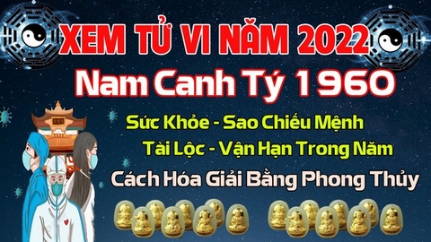 Xem Tử  Vi Năm 2022 Tuổi Canh Tý 1960 Nam Mạng Sao Chiếu Mệnh, Hạn Tuổi, Công Danh, Tài Lộc Chi Tiết