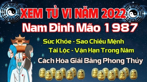 Xem Tử Vi Năm 2022 Tuổi Đinh Mão 1987 Nam  Mạng Vận Hạn , Tài Lộc , Sao Chiếu Mệnh Chi Tiết Nhất