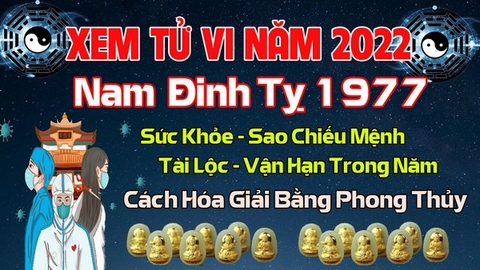 Xem Tử  Vi Năm 2022 Tuổi Đinh Tỵ 1977 Nam Mạng Sao Chiếu Mệnh, Hạn Tuổi, Công Danh, Tài Lộc Chi Tiết