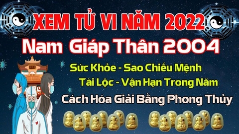 Xem Tử Vi Năm 2022 Tuổi Giáp Thân 2004 Nam Mạng Vận Hạn , Tài Lộc , Sao Chiếu Mệnh Chi Tiết Nhất