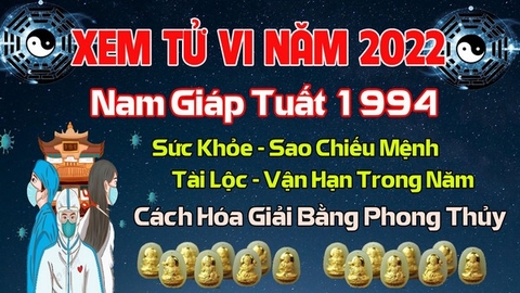 Xem Tử  Vi Năm 2022 Tuổi Giáp Tuất 1994 Nam  Mạng Sao Chiếu Mệnh, Hạn Tuổi, Công Danh, Tài Lộc Chi Tiết