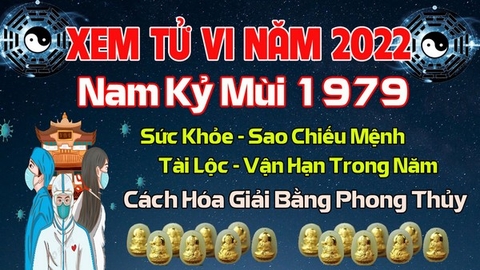 Xem Tử Vi Năm 2022 Tuổi Kỷ Mùi 1979 Nam  Mạng Vận Hạn , Tài Lộc , Sao Chiếu Mệnh Chi Tiết Nhất